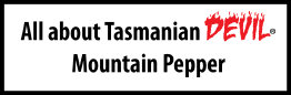 All about Tasmanian DEVIL Mountain Pepper