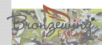 Open www.bronzewingfarm;com