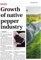 Growth of the pepperberry industry - Tasmanian Farmer 2020