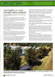 Australian Tree Crop magazine - Tasmanian Native Pepper