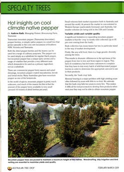 Australian Tree Crop magazine - Tasmanian Native Pepper