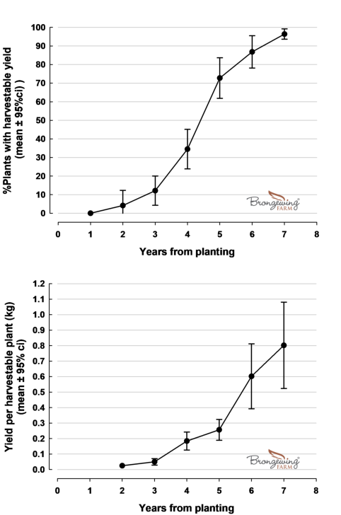 Plant yields in relation to age