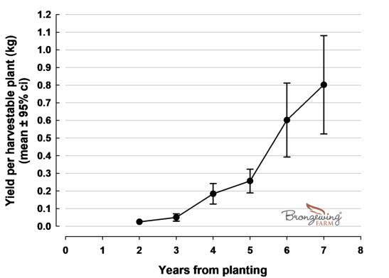 Yield of Pepperberry with Age