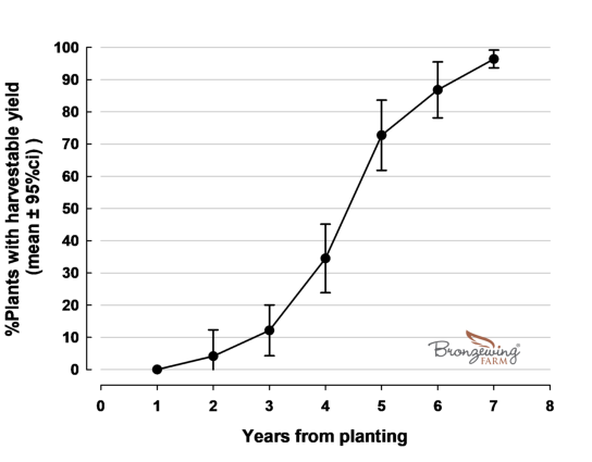 Plants producing pepperberries with age