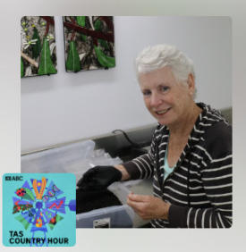 Sharon Fraser sorting the pepper berries(ABC Rural: Laurissa Smith)