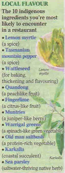 Top 10 Australian Native Ingredients